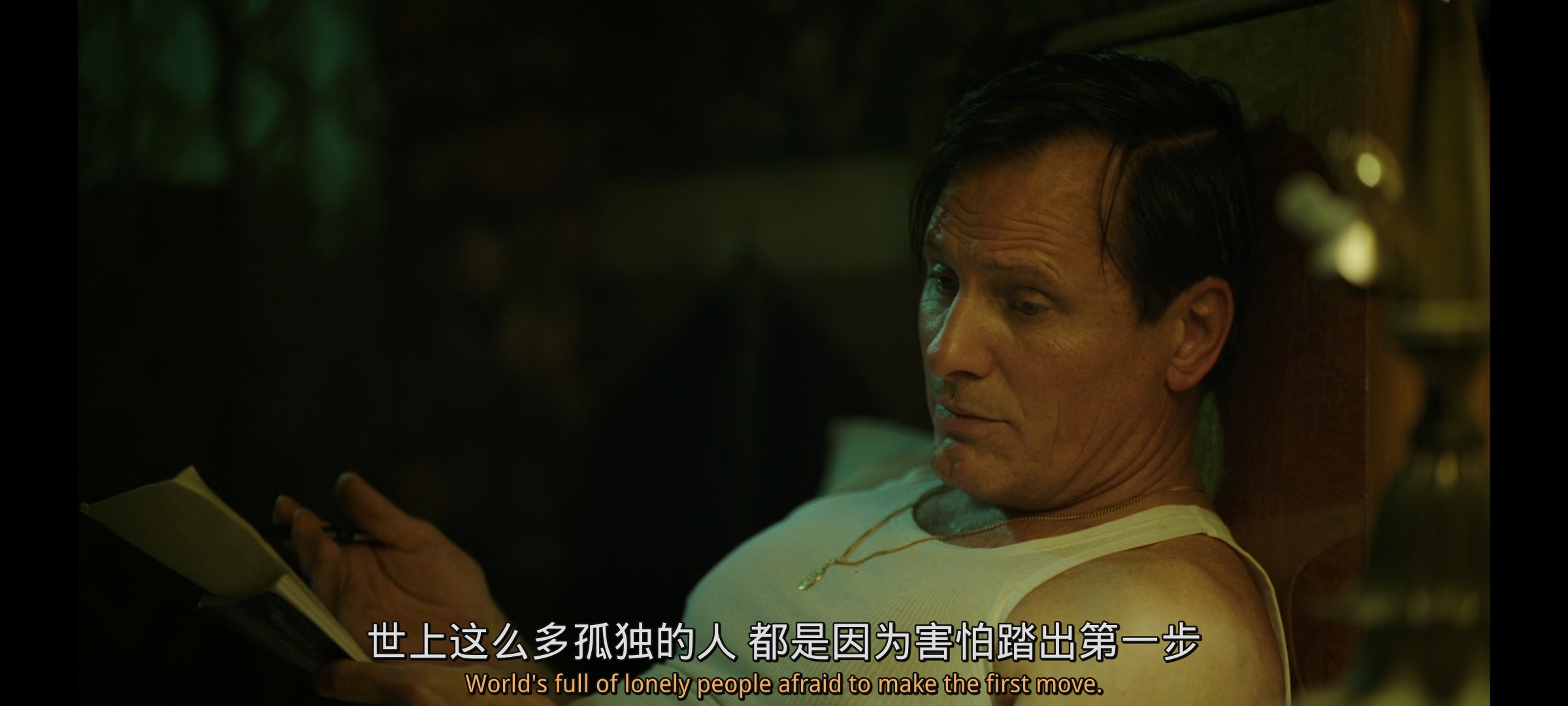 [电影]绿皮书 刷抖音又看到了绿皮书