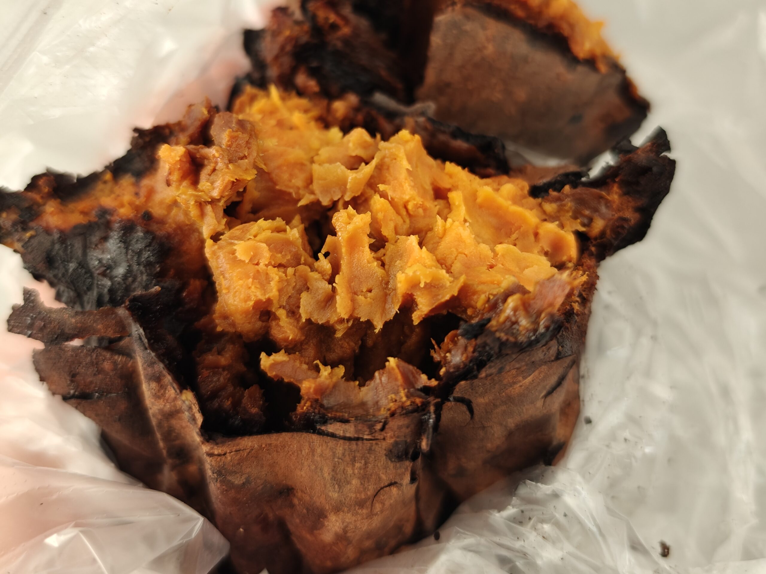 [日常]挨了一针